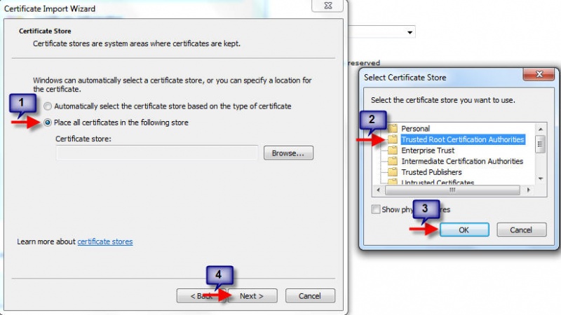 File:Ie8https5.jpg