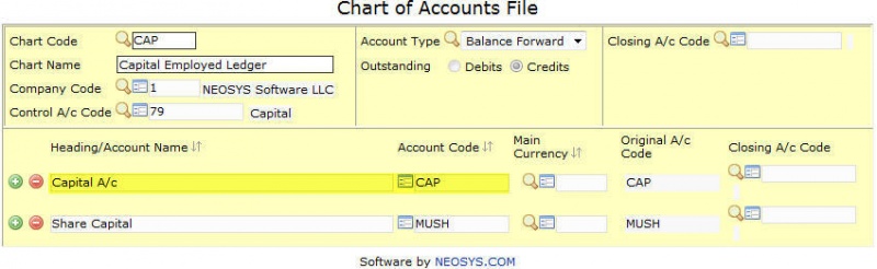 File:Shareholderscapital-sci.jpg